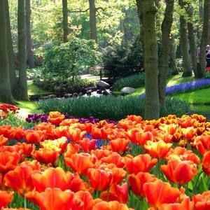 Meet your Posher, Jeanette